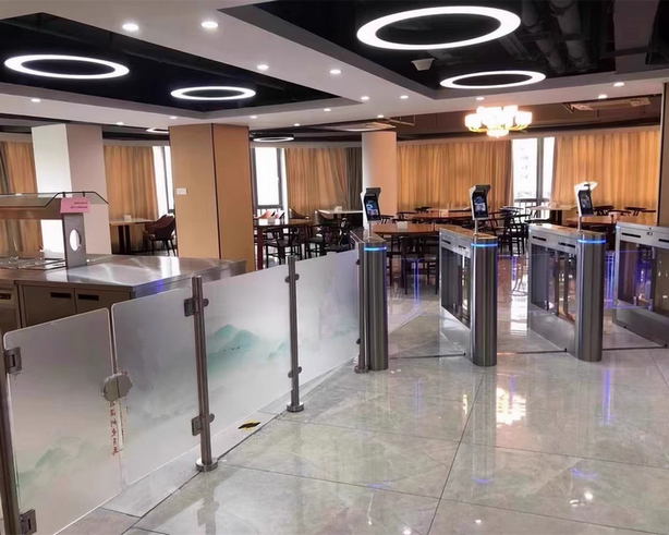 Swing turnstile gate with biometric terminal for corporate pantry Singapore